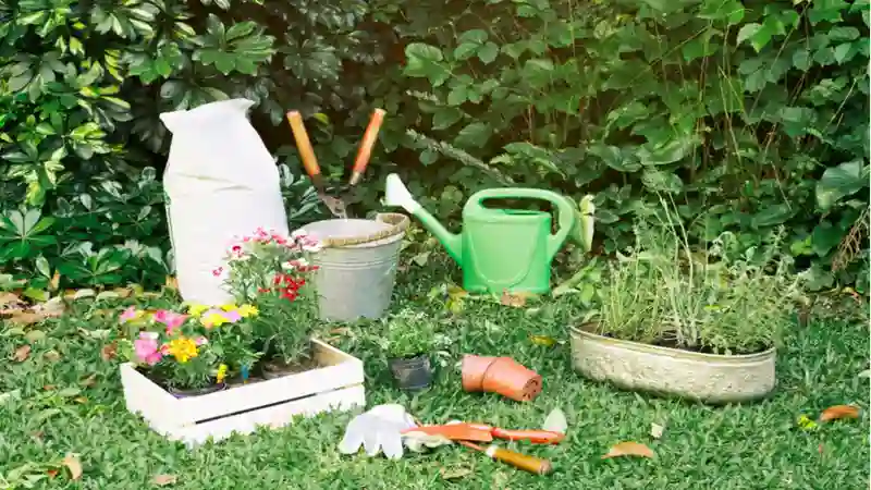 garden hacks decoradhouse